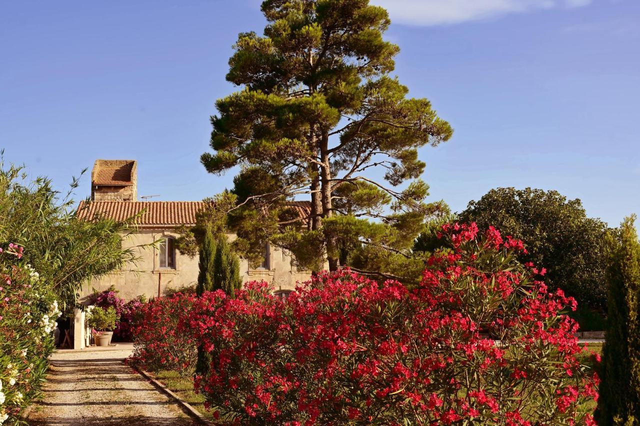 Maison Tara Verte Au Mas Montredon Арль Экстерьер фото