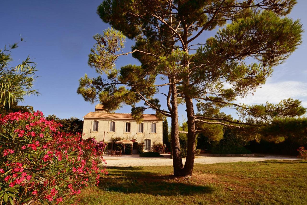 Maison Tara Verte Au Mas Montredon Арль Экстерьер фото