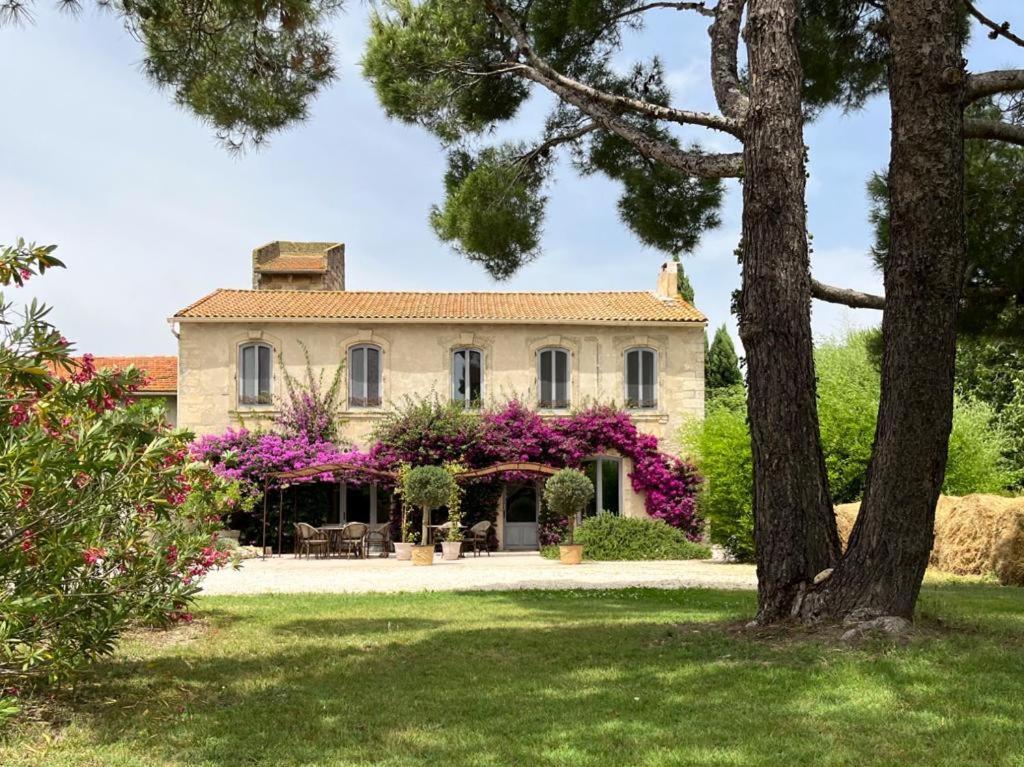 Maison Tara Verte Au Mas Montredon Арль Экстерьер фото